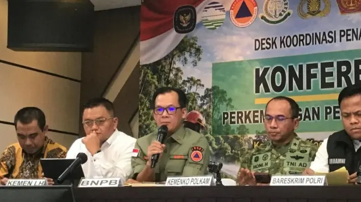 BNPB Catat Sisa Karhutla di Enam Provinsi Turun Menjadi 96,07 Hektare