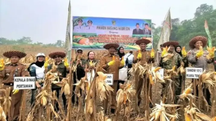 Pemkab Barito Utara Siapkan Bantuan Benih Jagung untuk Pengembangan Lahan Seluas 1.773 Hektare